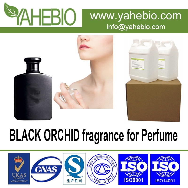 BLACK ORCHID Fragrance para perfumes de marca perfumistas perfumes de mujer