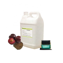 Aceite de perfume Fragancia